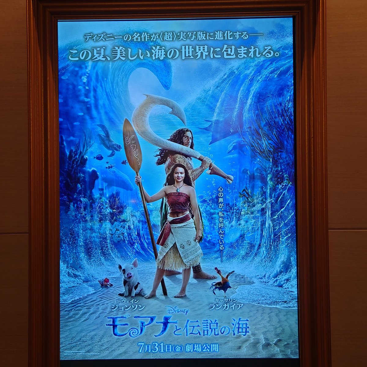 kano0710's tweet photo. 仕事終わりにモアナ実写観た。
ドウェイン・ジョンソンに髪があるのが見慣れなくて違和感ww
面白かったけど、日本語の歌詞の詰め込み具合がちょっとひっかかるとこあって、英語の方が聞きやすいのかもなとは思った。
機会があれば字幕も観るかなー。 https://t.co/QAhnjfbJ5K