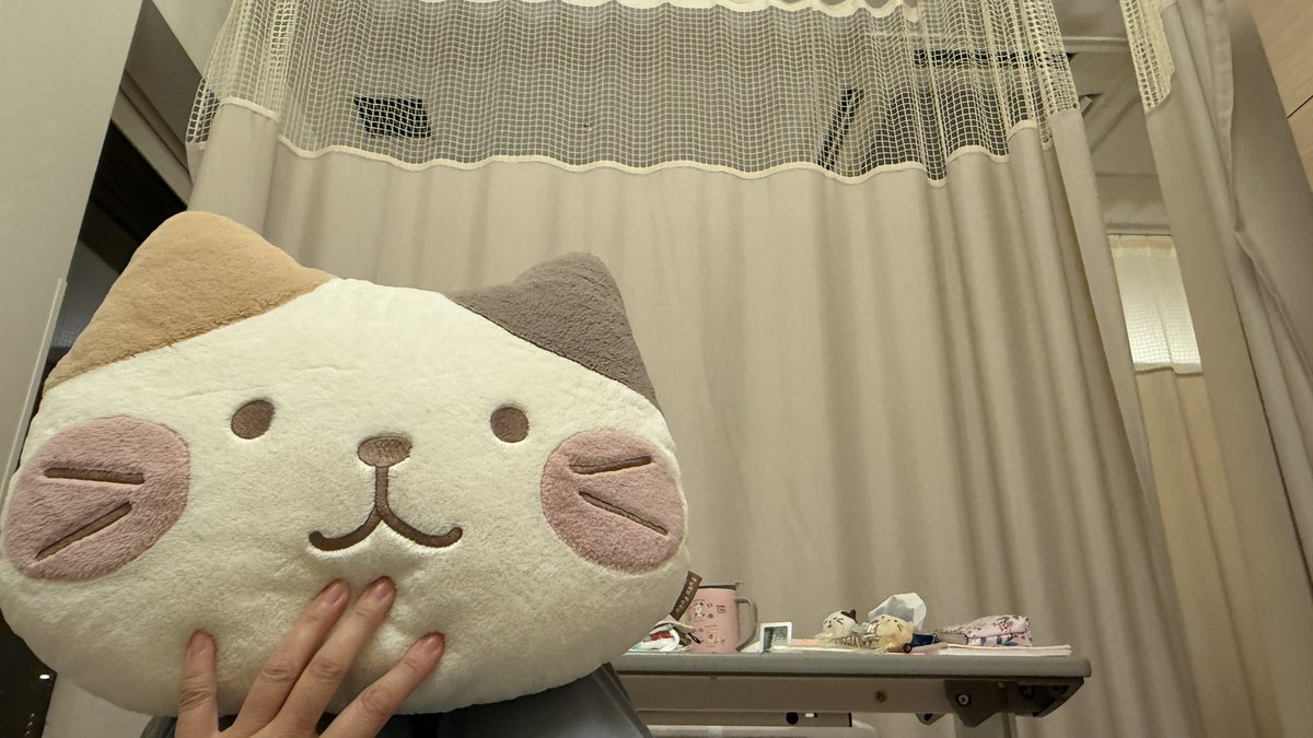 peachte4047's tweet photo. 不安な夜・・…😱

ボクがついてますにゃ！

ほっぺちゃんもいますにゃ！

#ふくふくにゃんこ https://t.co/NkkBsI0ckT