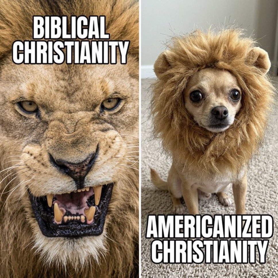 ChristianEmerg1's tweet photo. https://t.co/SGbG7x0EgL