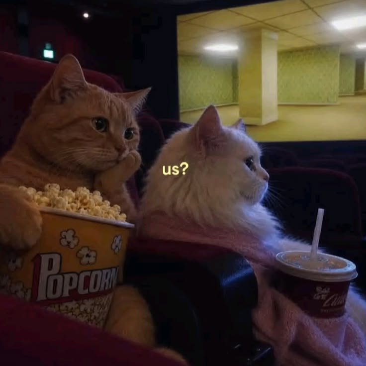 nekocatts's tweet photo. https://t.co/wOMDbOScC9