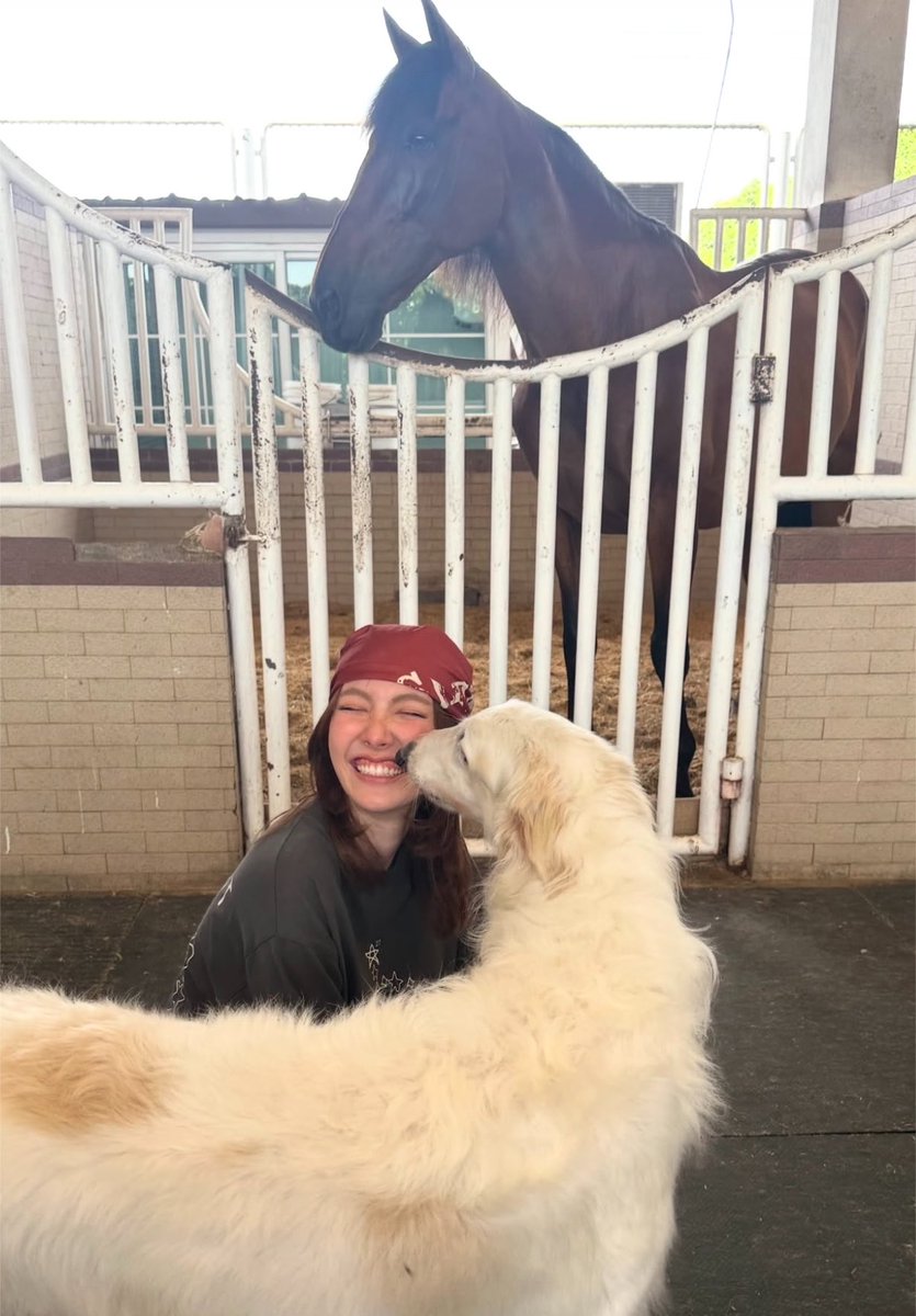 blueorms's tweet photo. ORM IS SO MY TYPE I CANT EXPLAIN IT 😭😭 https://t.co/DCMhKY2Rtr