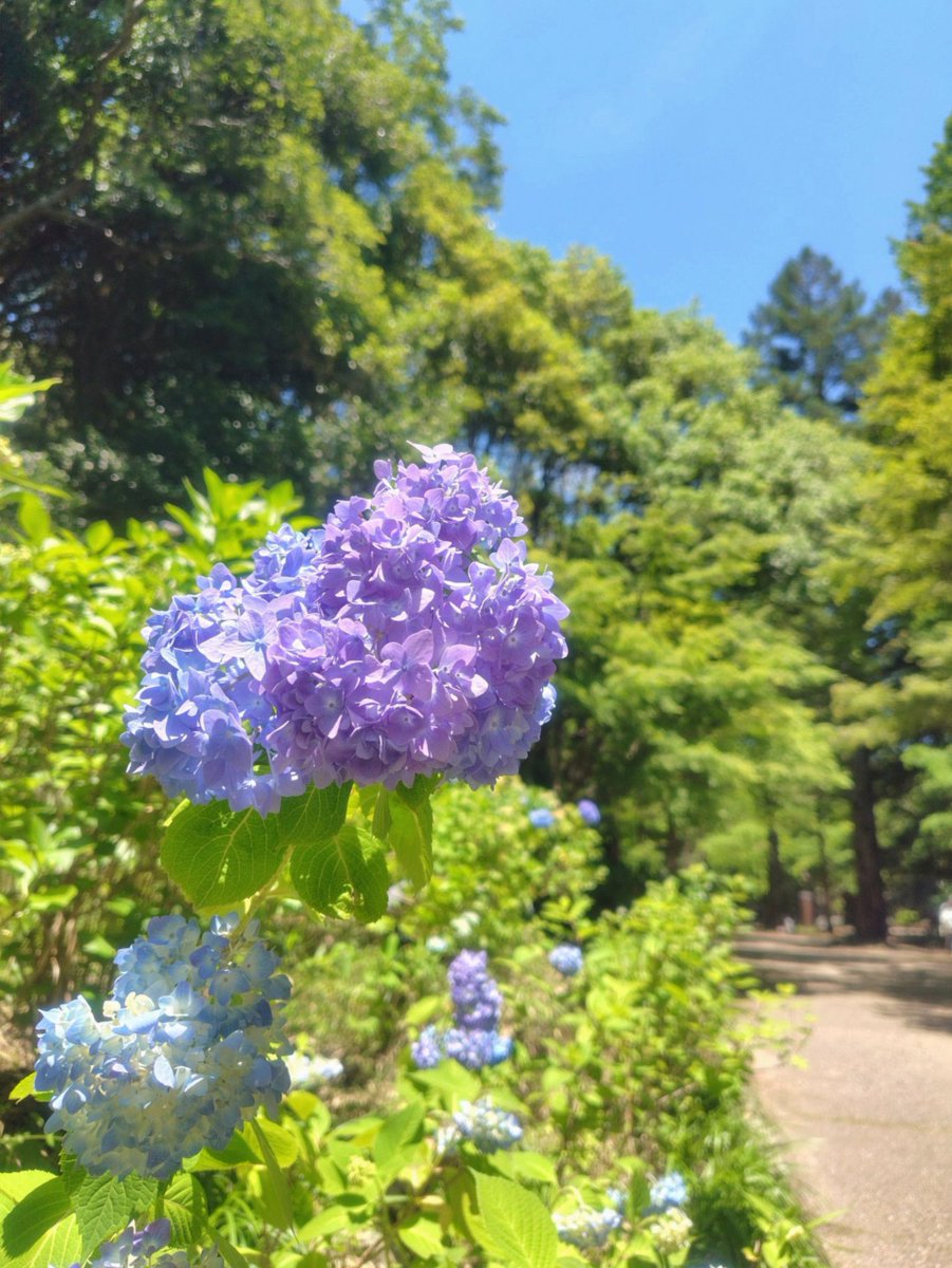_ParsaZafari's tweet photo. ヤニねこって作画は神だから普通の男が出てきた場合めっちゃイケメンで草 https://t.co/CtVBmOCBf2
