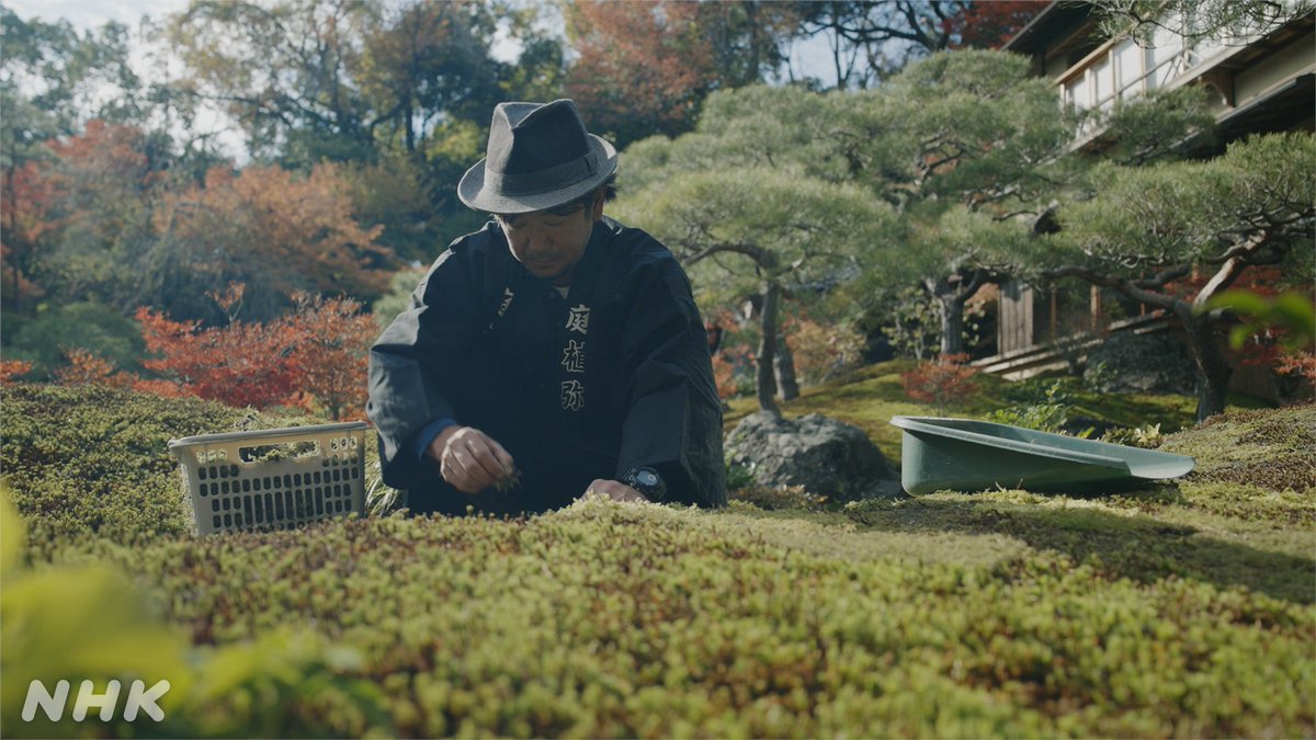 NHK_PR's tweet photo. 【京都「南禅寺界隈別荘群」】

それは “究極の奥座敷”と呼ばれ、厚いベールに包まれている15軒の別荘。

そこで”最高のおもてなし”を味わいたい…。

日本文化の神髄に触れようとする無謀な挑戦です。

7（金）夜10:00［総合］
出演：アンミカ、東野幸治、加藤友規
https://t.co/loQHukP0Yn https://t.co/E6b3Yk2AL5
