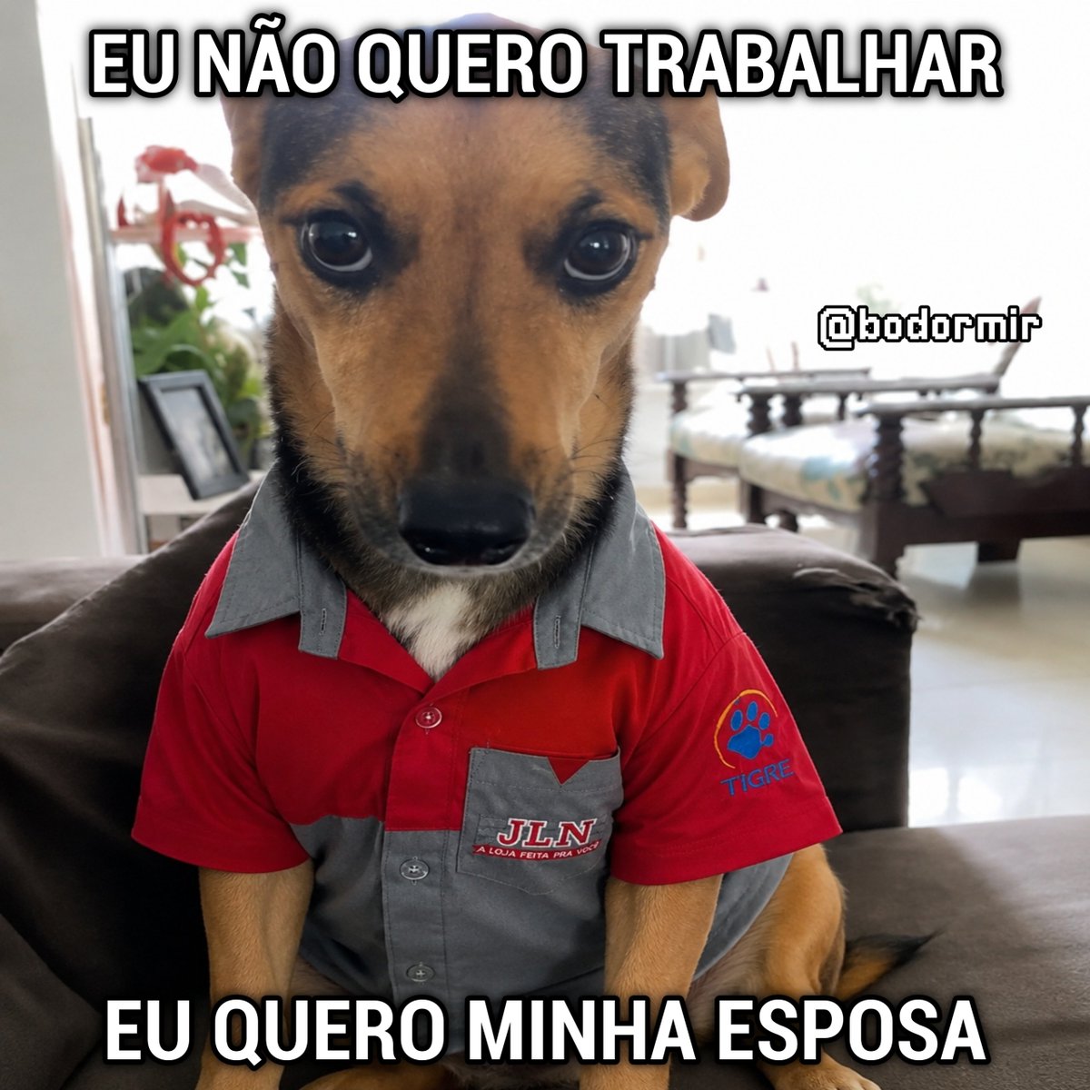 bodormir's tweet photo. https://t.co/jEXHVpT78H