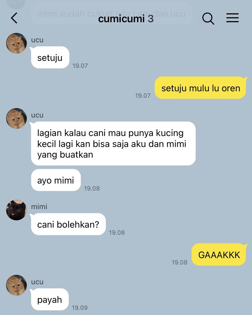 bitterbblue's tweet photo. kangeeeen my cumicumi HIKS ((kapan ia acc ini semtot sembuh total))))) https://t.co/Rapb6IVSXd