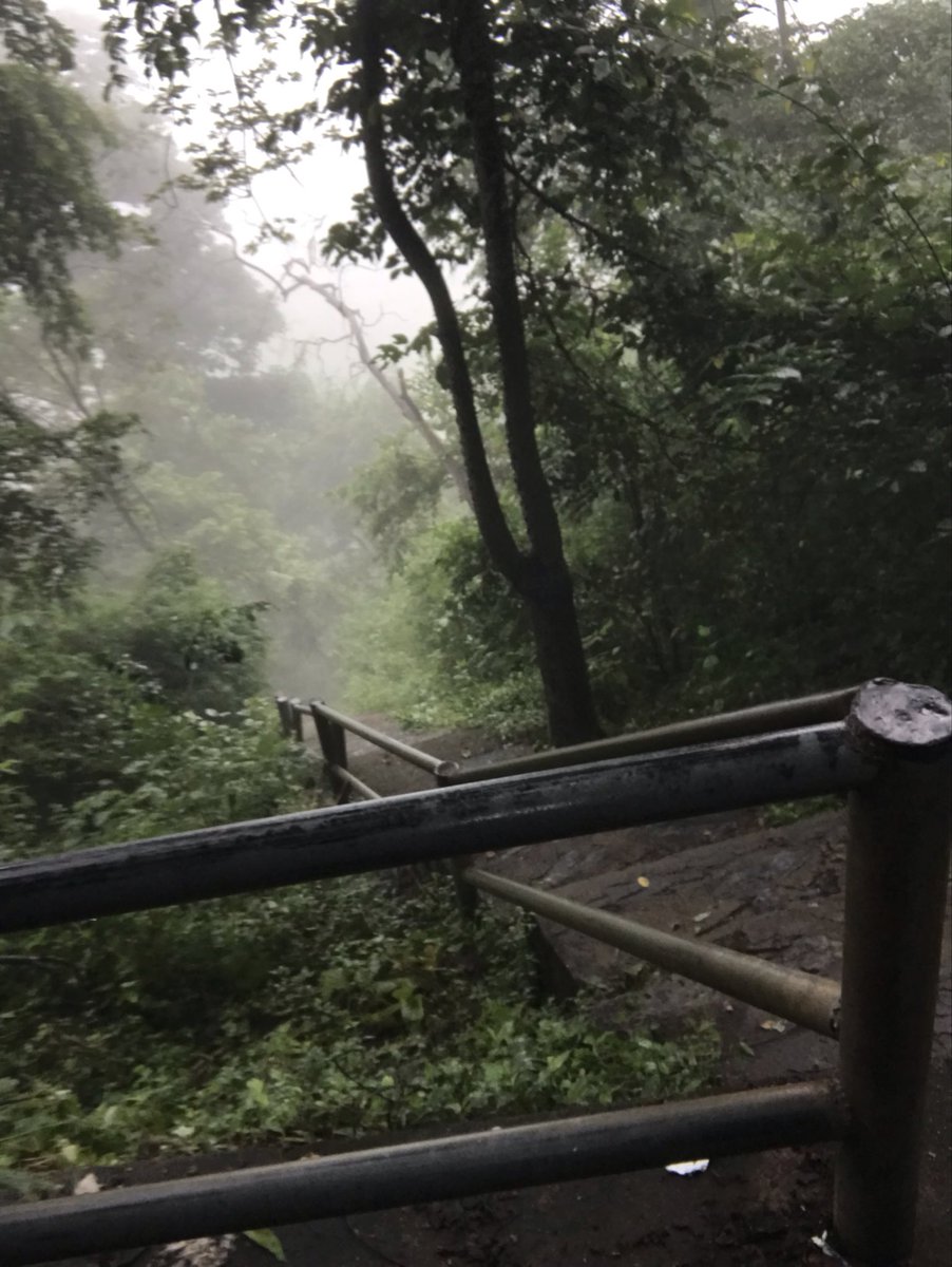 yuu0806taa's tweet photo. タイ🇹🇭猿が沢山いる山登ってきました！！階段きつかった https://t.co/leeXeOXtzF
