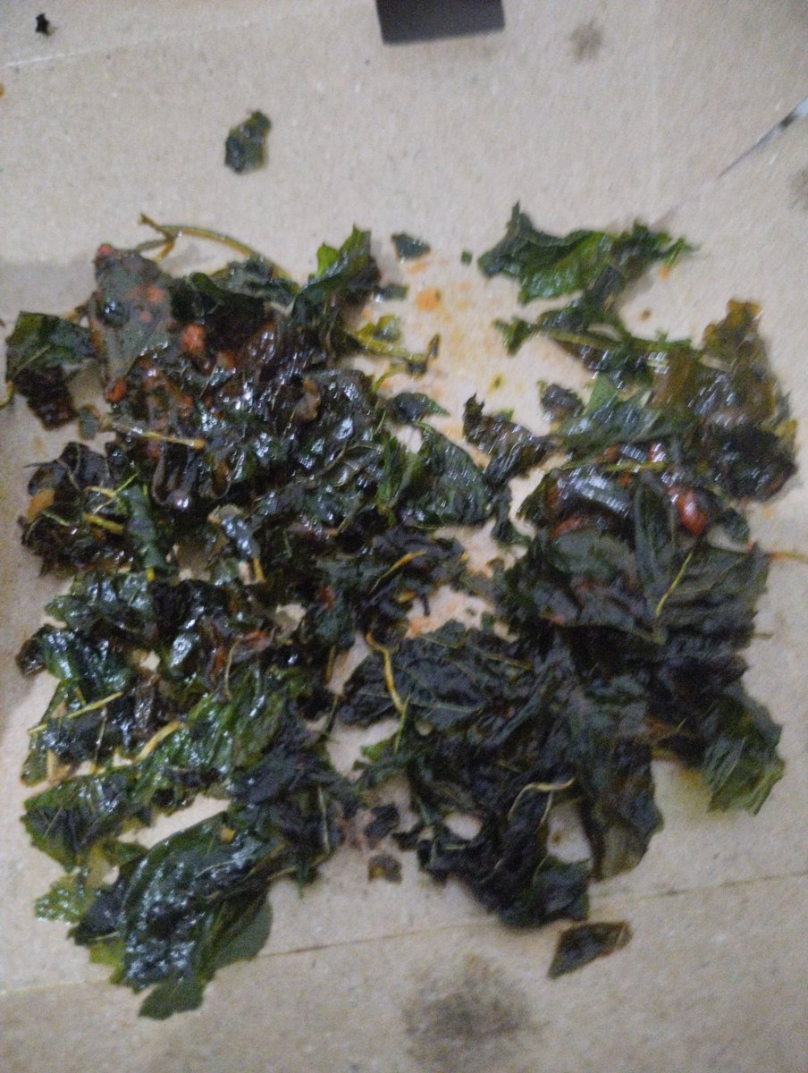 maomeomia's tweet photo. Makanan apa inii terlihat mematikan 😭 https://t.co/B2rWFfqvP6
