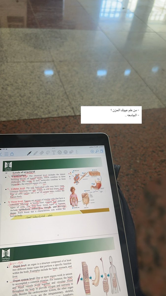 Lamy434's tweet photo. استثمر في ذاتك، فالعلم هو الاستثمار الوحيد الذي يزداد ربحه مع الزمن❣️ https://t.co/ivZPSJwCpS
