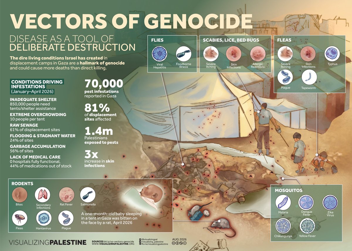 visualizingpal's tweet photo. Our latest visual captures genocide by attrition, which "occurs when a group is stripped of its human rights, political, civil and economic. This leads to deprivation of conditions essential for maintaining health, thereby producing mass death." https://t.co/7GxFapOqlW