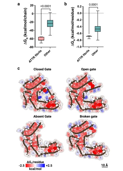 bvsspa's tweet photo. 🧬 “Structural polymorphism of amyloid fibrils in ATTR amyloidosis revealed by cryo-electron microscopy”
@cabimer
👉 Disponible en #RISalud https://t.co/sHnRzzVgkd
#BVSSPA #CABIMER #Amiloidosis #ATTR https://t.co/jsWJl0fD6h