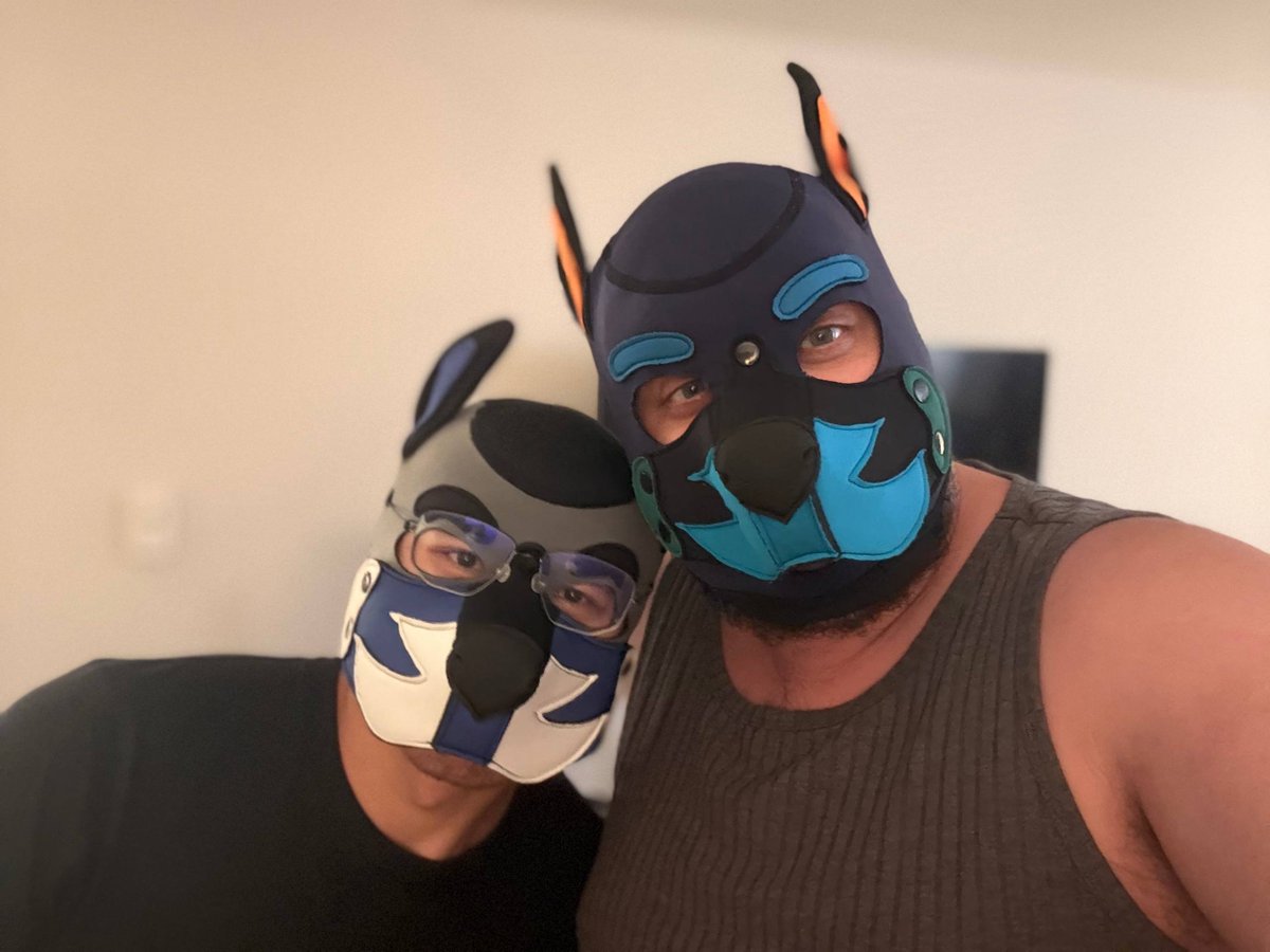 ImOnlyAPuppy's tweet photo. also puppy's first hood came in! (i'm on the left 🥺) https://t.co/f2XkMSD8Gp