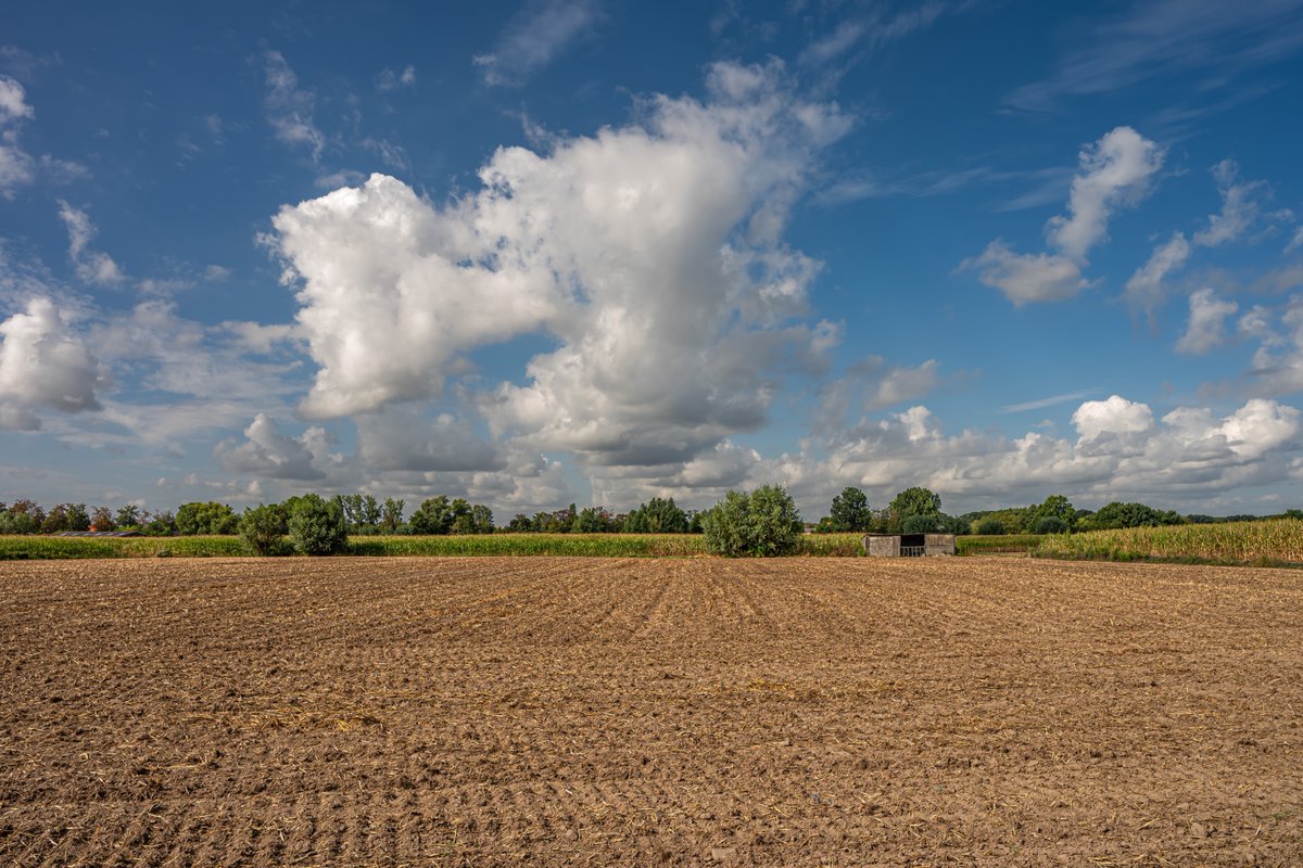 MarcWezema75157's tweet photo. #vrtweer #weerfoto #wolken #zon #zomer #weatherphotography #nikonphotography #Zele 12u00 https://t.co/e7VCkP9jQL