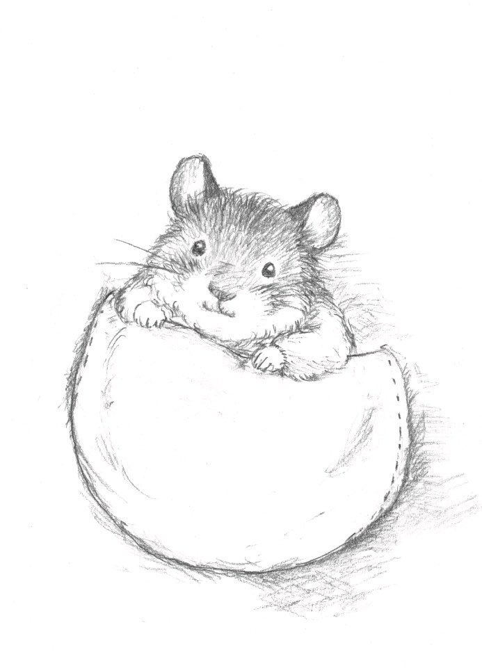 mamomoyo's tweet photo. #ハムの日
 今日はハムの日というので、絵本の絵を一枚。
明日から1ページづつ紹介しよ��かと思う。

ずっとハムスターとのんびり暮らせる世の中でありますように。

#ハムスター  #nowar https://t.co/4eUxWhtid9