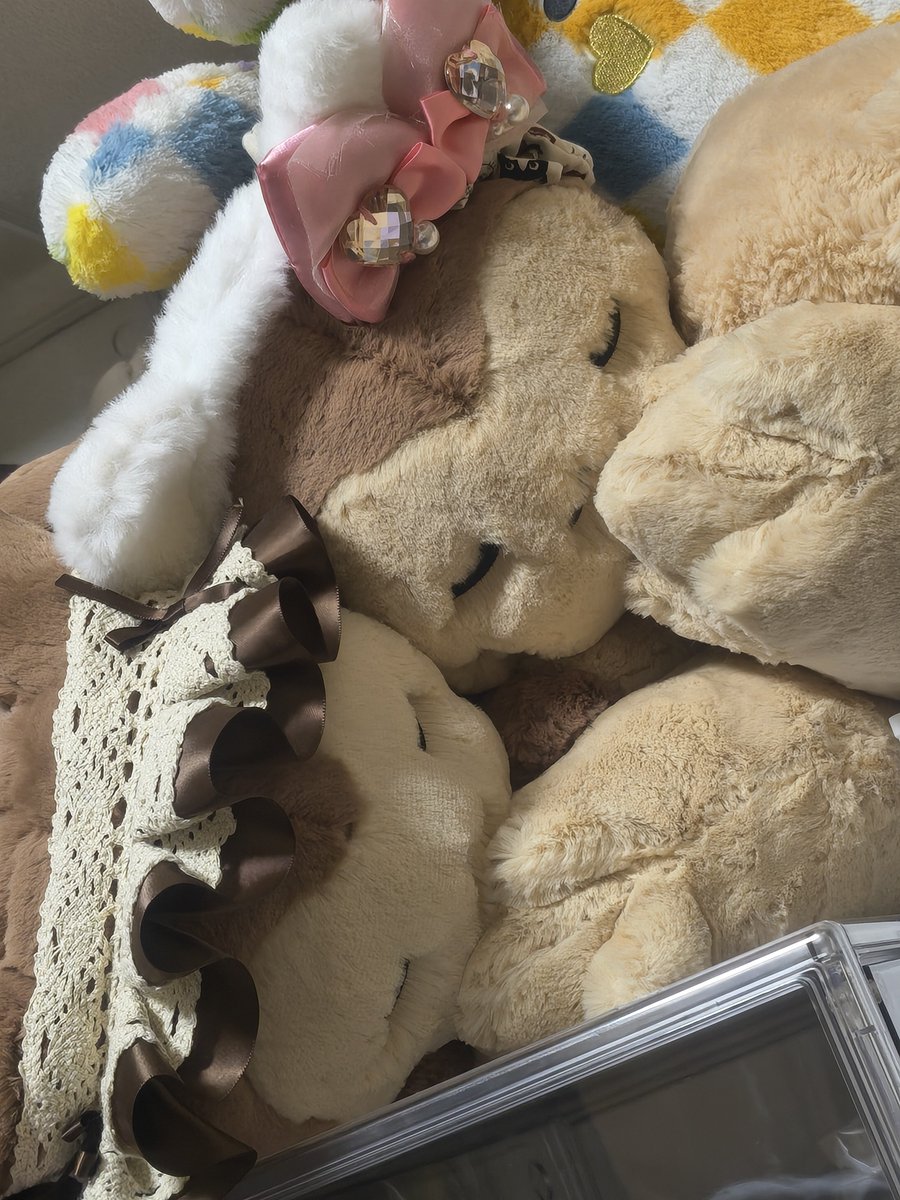 choco_chomi162's tweet photo. カチューシャ買うとこうなる https://t.co/ryEJZX1tDP
