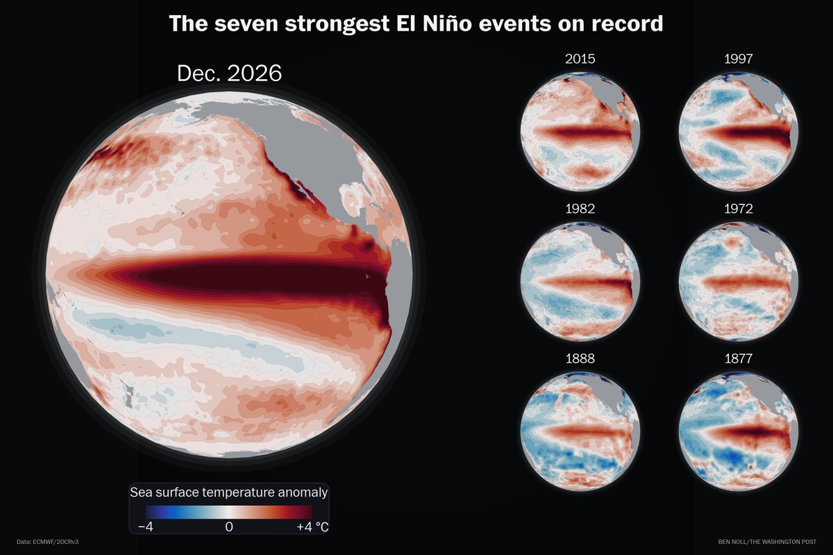 BenNollWeather's tweet photo. This year's El Niño will dwarf the six other super El Niño events on record.

A projected +4.1°C rise in central Pacific Ocean temperatures by Dec. 2026 would leap past previous peaks of +2.8°C to +3.0°C in 1877, 1997 and 2015.

No one alive has witnessed an El Niño this strong. https://t.co/Hu5BpaK8J1