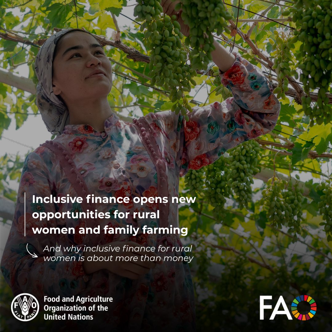 FAOSocioEcon tweet picture