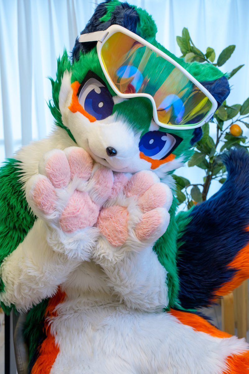 Kemokemolevel1's tweet photo. 夏バテには、にくきゅ～が効くとされています。
…たぶん。
📷：@PAST_2015
#ぐださつ
#FursuitFriday https://t.co/V7F7PZk6g7