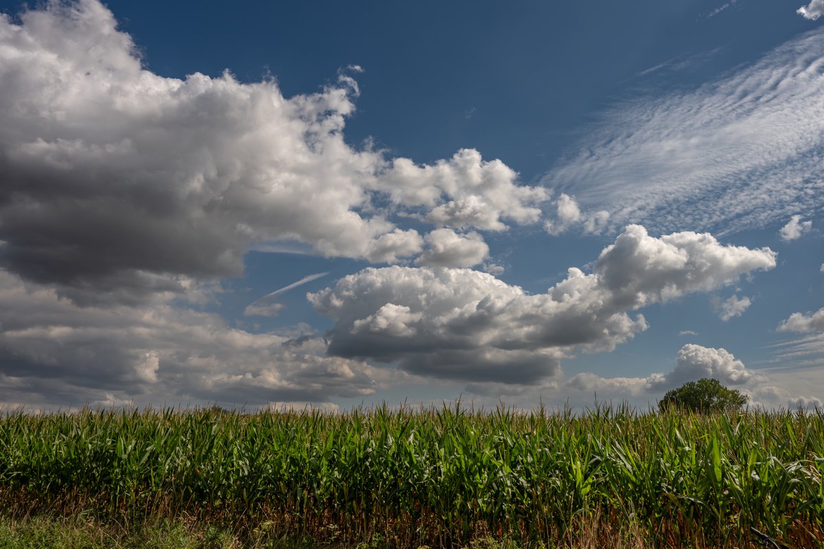 MarcWezema75157's tweet photo. #vrtweer #weerfoto #wolken #zon #zomer #weatherphotography #nikonphotography #Zele 12u10 https://t.co/DBSHm7kKQE