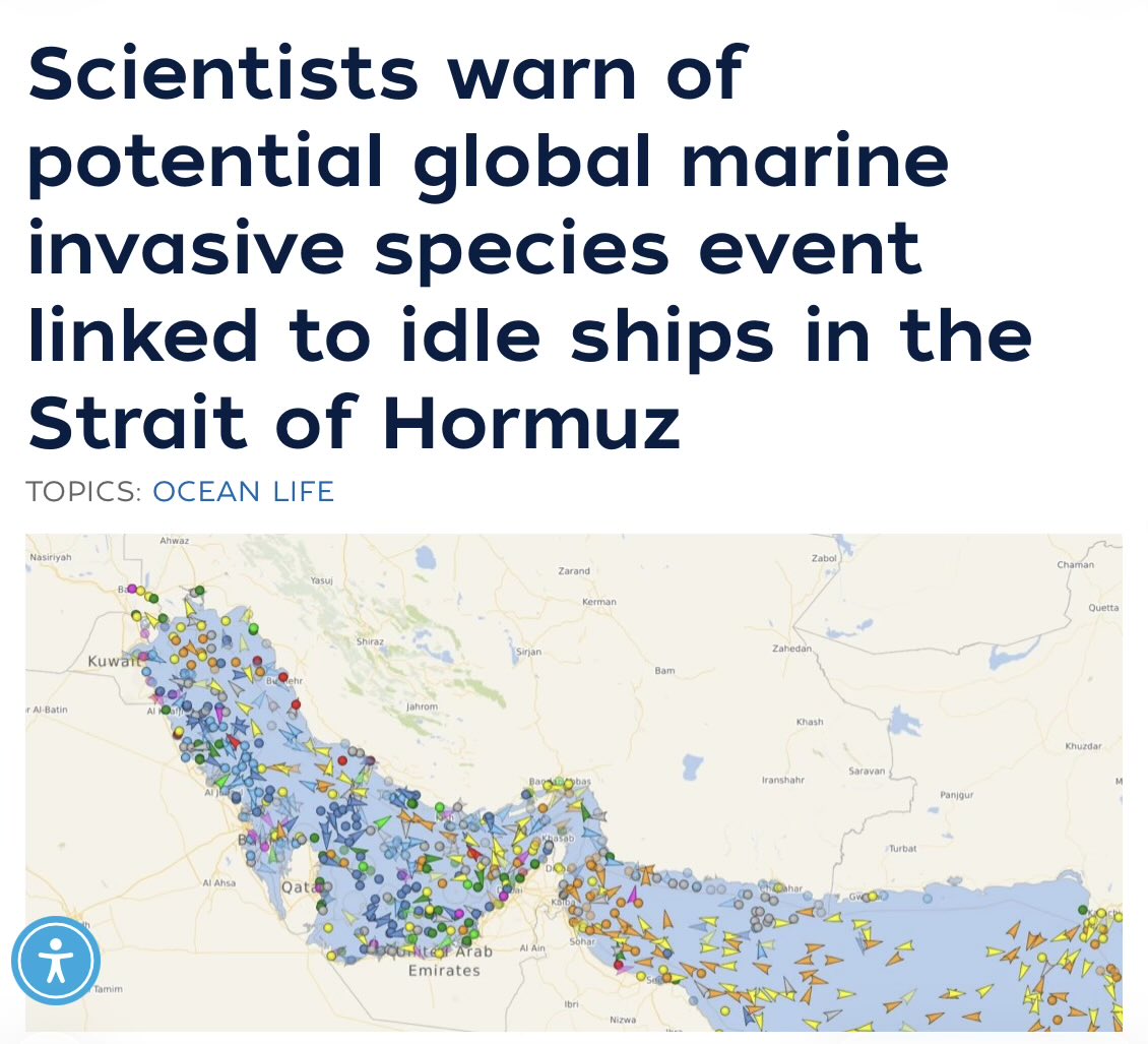 DittiePE's tweet photo. Scientists have been warning since July that the ~1,500 ships stuck in the Persian Gulf since the Hormuz closure are growing thick layers of barnacles, algae, and mussels on their hulls — and that once those ships disperse globally, it could trigger a marine invasive species “super-spreader” event. A 24-scientist team (UMCES/Woods Hole) published the peer-reviewed warning in July.

Here’s what I haven’t seen anyone connect yet: those ships may finally start moving in the next few weeks — Trump and Bessent are again claiming a Hormuz deal could happen any day. And that release window lines up almost exactly with NOAA’s forecast for a Super El Niño, expected to peak this coming winter and possibly rank among the strongest on record.

The scientists already said the quiet part: species that survive the Gulf’s heat “may also be effective invaders elsewhere, particularly as ocean temperatures rise.” If that’s true, releasing this fleet right as global ocean temperatures climb toward an El Niño peak isn’t just bad timing — it’s close to the worst possible timing.