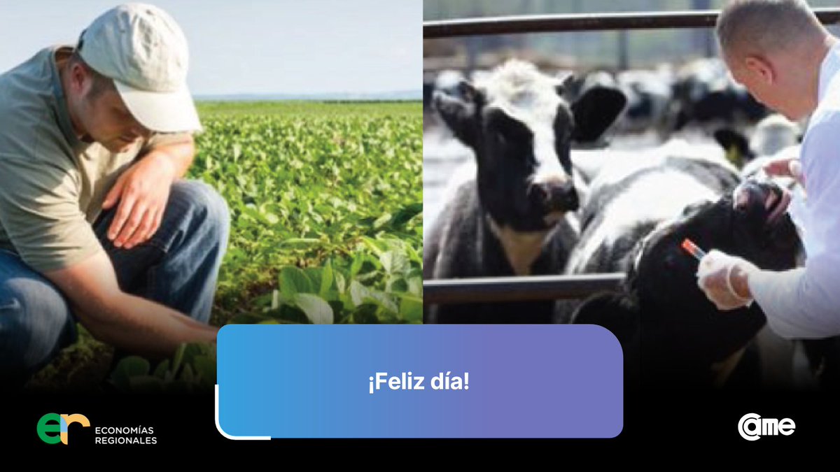 CAMEecoregional's tweet photo. 🌾 En el Día del Ingeniero Agrónomo, del Médico Veterinario y de la Enseñanza Agropecuaria, desde CAME Economías Regionales saludamos a quienes, con compromiso y vocación, impulsan el desarrollo de la producción agropecuaria y la sanidad animal. ¡Feliz día! https://t.co/YjHWIenpQC