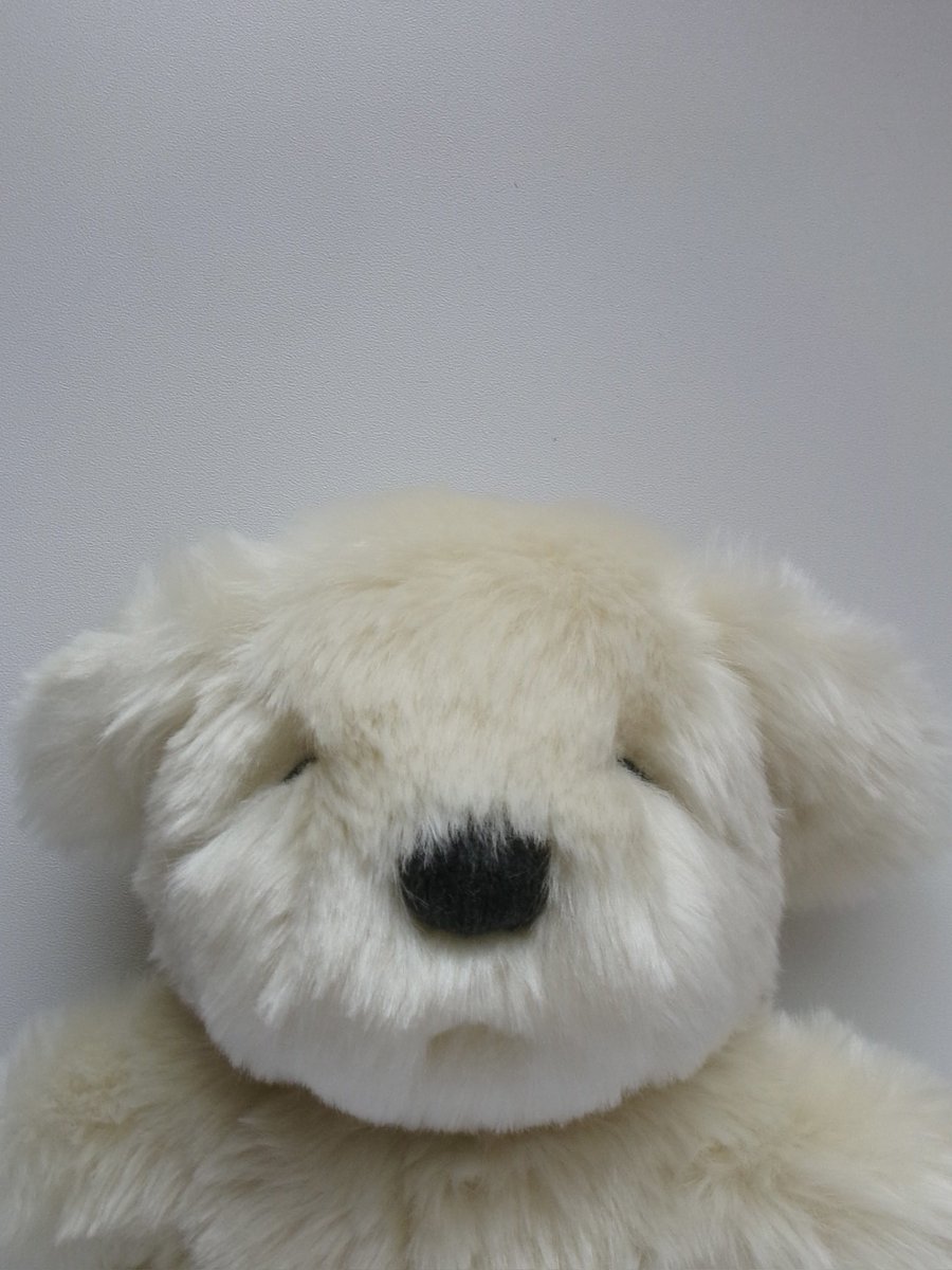 sobokoara's tweet photo. もっふもふふっわふわまっしろ🐶 https://t.co/GxLoq2elip