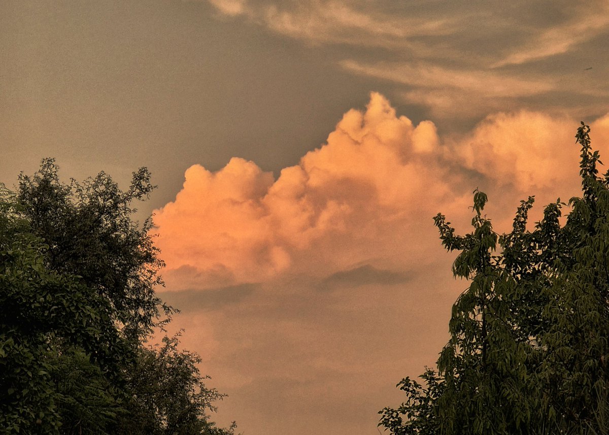 poohthebear0's tweet photo. gallery full of clouds and birds https://t.co/drBrdwaMIF
