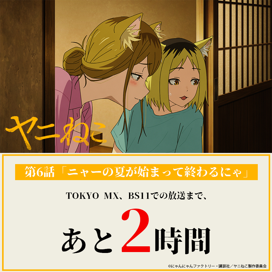 ╭━━━━━━━━━━━━━╮ TVアニメ『#ヤニねこ』 放送まで