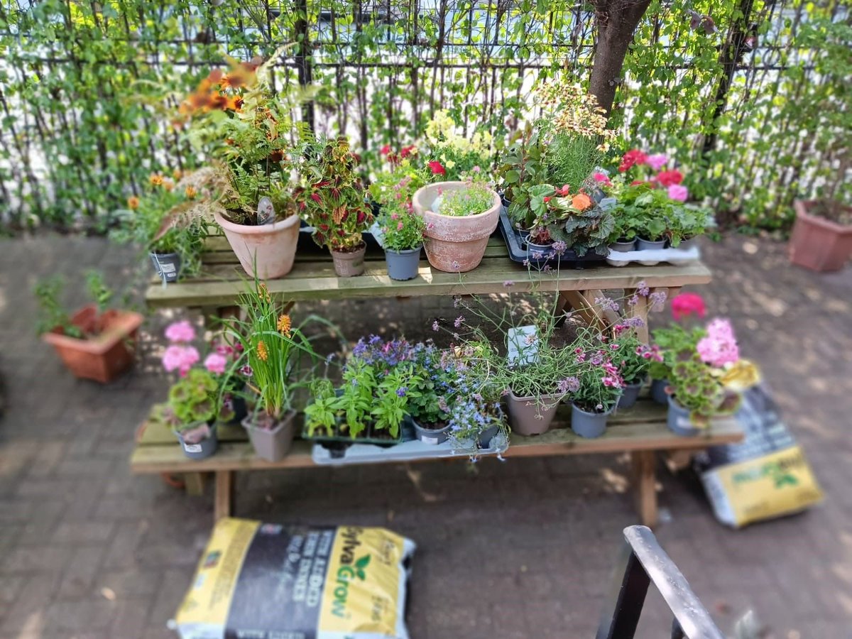 CNWLNHS's tweet photo. Supported by CNWL's Health Charity and W6 Garden Centre, young people, colleagues and community members recently rolled up their sleeves for Harrow CAMHS' annual garden project, giving our outdoor space a colourful summer refresh   🌱 Read more ➡️
 https://t.co/dJWLA1jmTi https://t.co/MJ4SygguSB