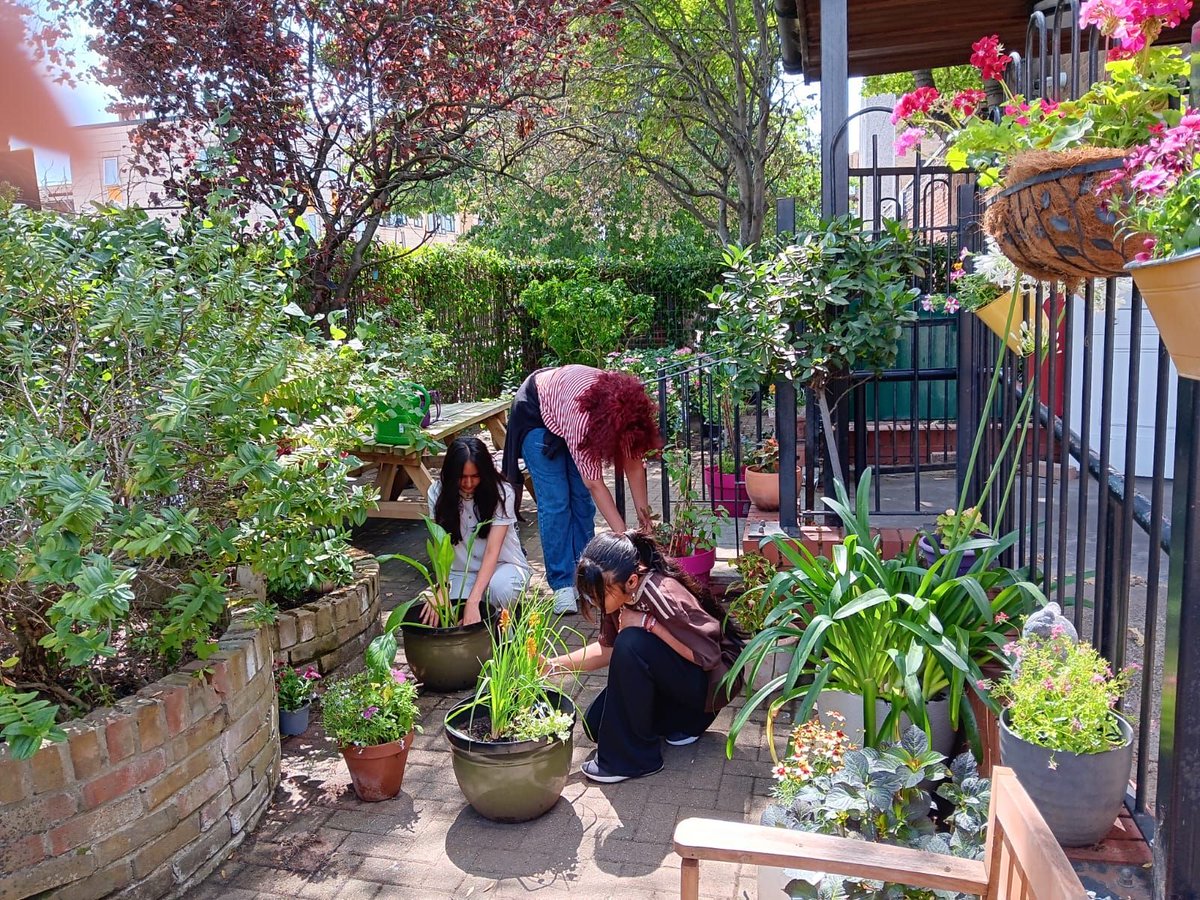 CNWLNHS's tweet photo. Supported by CNWL's Health Charity and W6 Garden Centre, young people, colleagues and community members recently rolled up their sleeves for Harrow CAMHS' annual garden project, giving our outdoor space a colourful summer refresh   🌱 Read more ➡️
 https://t.co/dJWLA1jmTi https://t.co/MJ4SygguSB