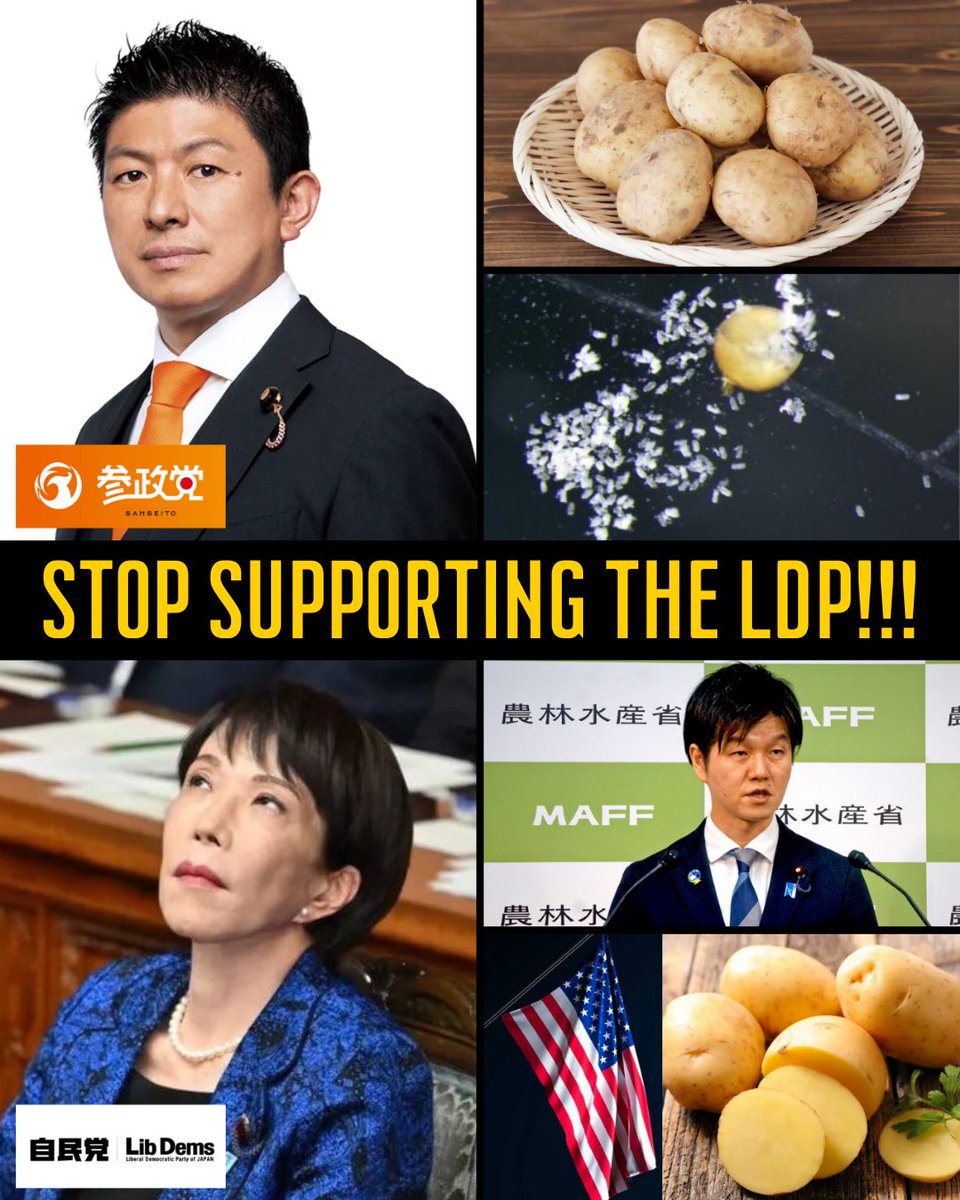 SAMURAIVoice's tweet photo. 🚨 SHOCKING: Sanseito leader Sohei Kamiya just EXPOSED how the Takaichi regime and LDP are DESTR*YING Japan’s agriculture and food self-sufficiency!

🟠 Kamiya:  “Wheat, beef, oranges, rice…  
NEXT IS POTATOES?”  
“There is NO DISCUSSION even in the Diet.”

🟠 The government is quietly pushing U.S. FRESH potato imports to the final stage by September — despite uneradicated pest risks like potato cyst nematode that could WRECK Hokkaido’s farms (80% of Japan’s supply). 🤦🏻‍♂️

NO real debate.  
NO protection for Japanese farmers.  
Just another surrender to foreign pressure.

This is a BETRAYAL of Japan’s food security. 🔥

Japanese people: UNITE with Sanseito.  
RAISE YOUR VOICES. 🎌

PROTECT Japanese agriculture and food self-sufficiency NOW! 🇯🇵
