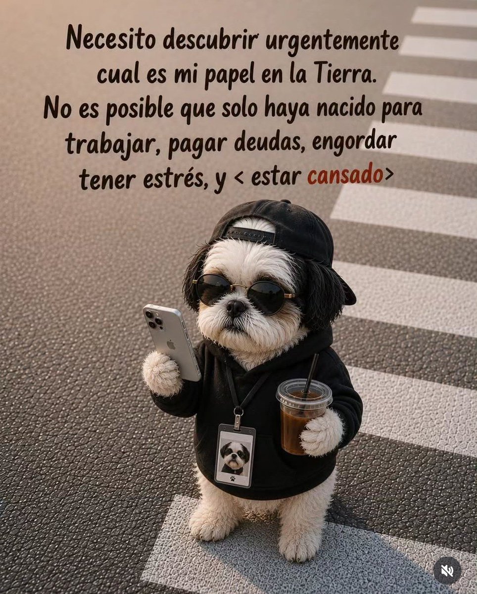 feliht21's tweet photo. ¿De esto se trata la vida? #vida #rutina #estres #realidad https://t.co/GDItdHIhN7