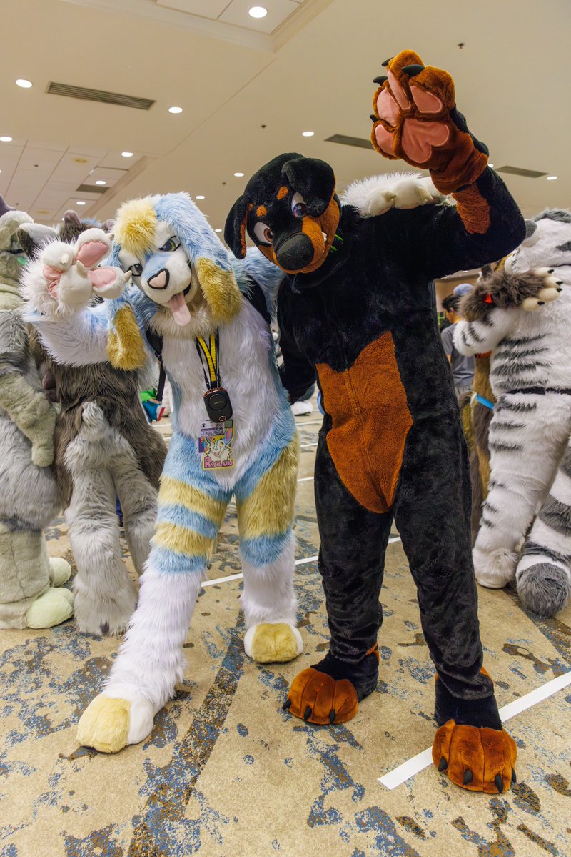 pinustudios's tweet photo. Who's ready for Furrydelphia?? Who are we gonna see there?? 👀 https://t.co/jZgd4mQhzY