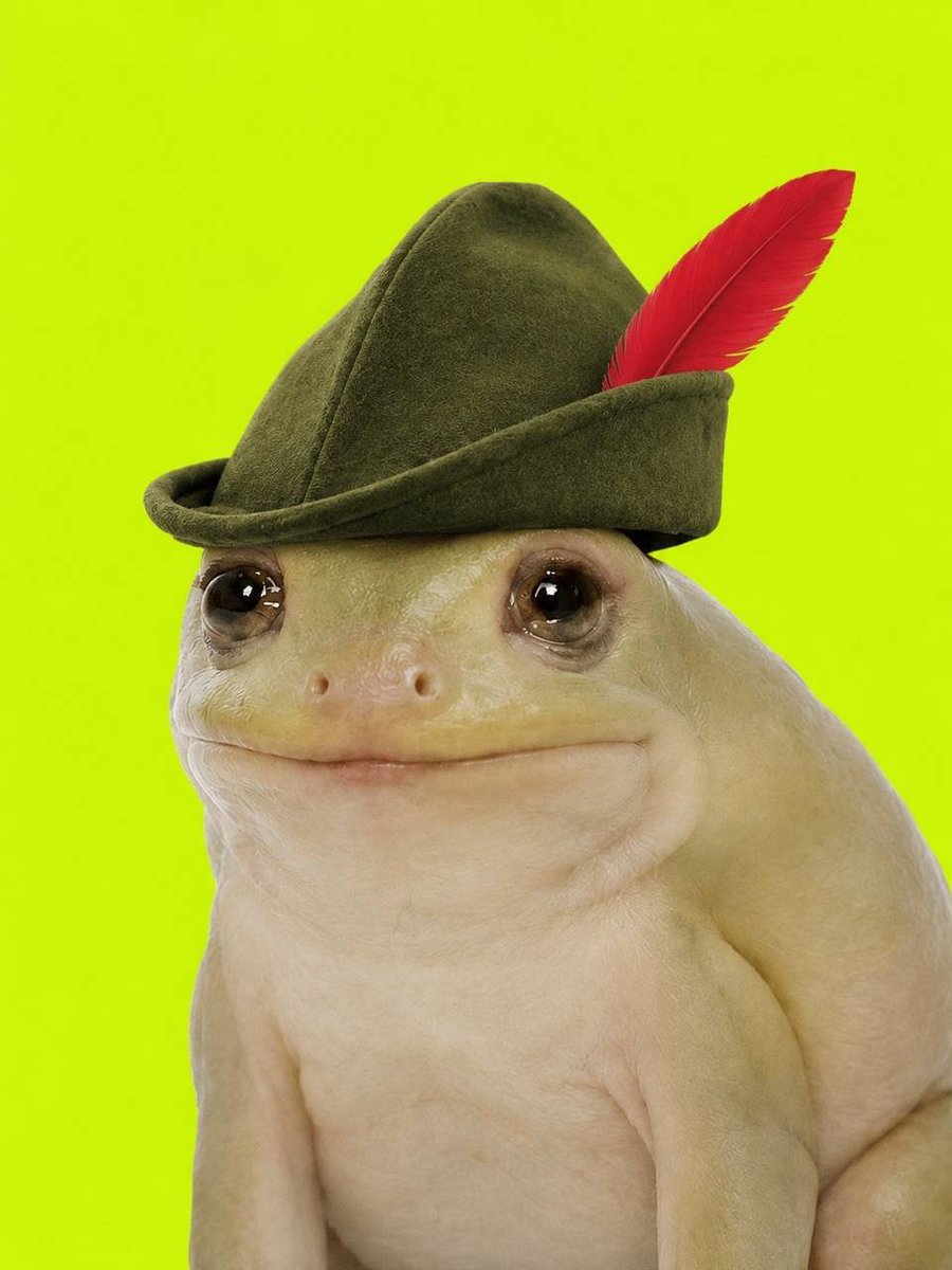 cashfrog_x's tweet photo. The Robinhood mascot energy is unmatched. https://t.co/rbv2bU9Pgt