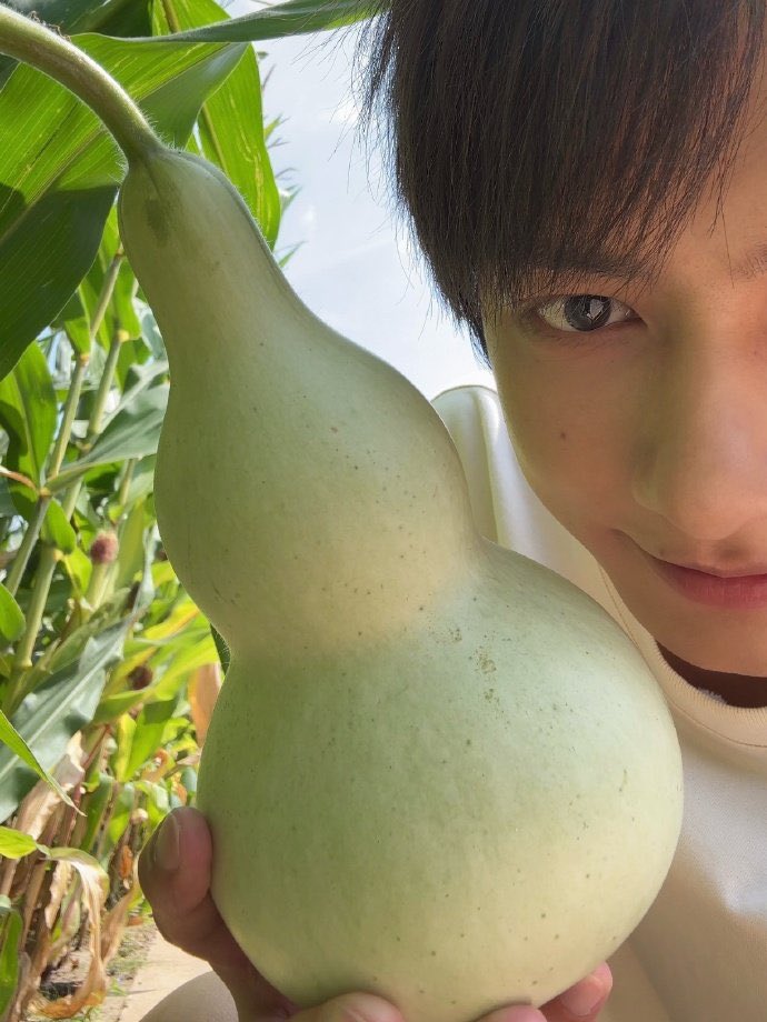 WenJunhuiMX's tweet photo. 060826 | 📸 Actualización de Jun en Instagram y Weibo: Jun y una calabaza https://t.co/EUyGVl9Hwt