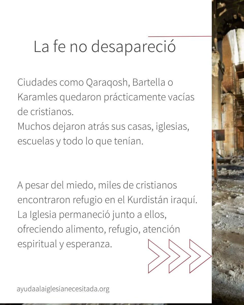 AyudaIglesNeces's tweet photo. Hace 12 años, la invasión de ISIS obligó a cientos de miles de cristianos a huir del norte de Irak. En pocas horas lo perdieron todo: sus hogares, sus iglesias y la tierra donde sus comunidades habían vivido durante siglos.✝️

Nos unimos en oración por las personas que viven perseguidas por su fe. No miremos hacia otro lado. 🙏