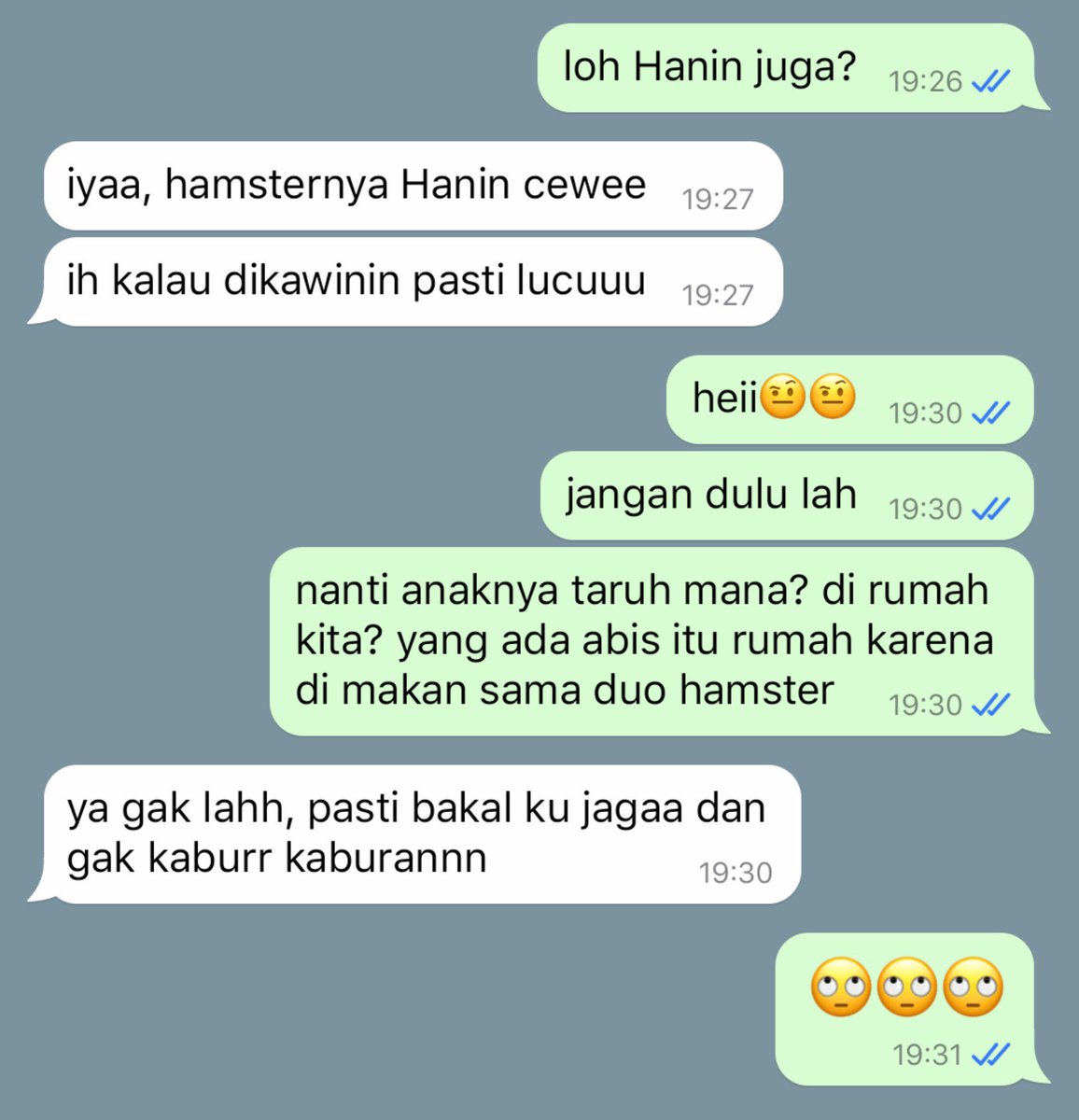 miyysteu's tweet photo. 07. Beli hamster di nenek https://t.co/oPVx2nn6az