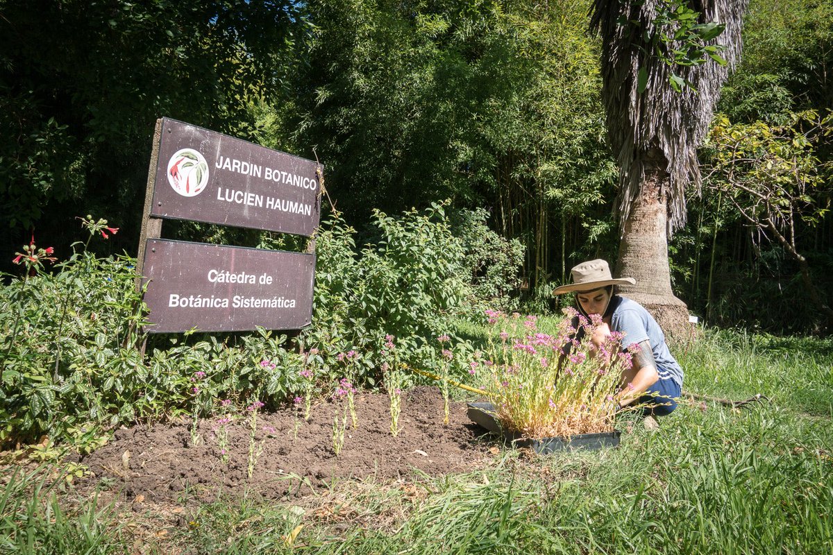 UBAonline's tweet photo. Día de la Enseñanza Agropecuaria. Hace 143 años, el Instituto Agronómico Veterinario dio lugar al inicio de los estudios agropecuarios, siendo la primera institución en ofrecerlo en nuestro país. https://t.co/6gUyrmGJ8T
