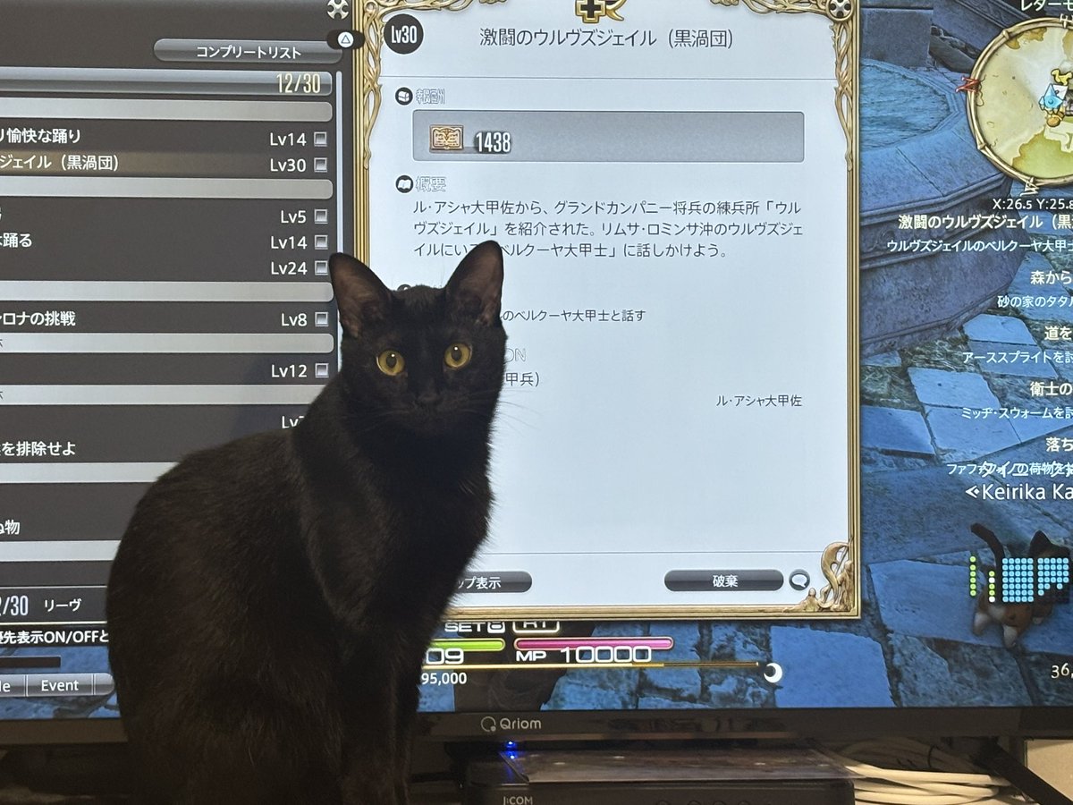ikng_0's tweet photo. FF14やってると猫たちが代わるがわる画面の前にくる https://t.co/GBeb9PqUx5