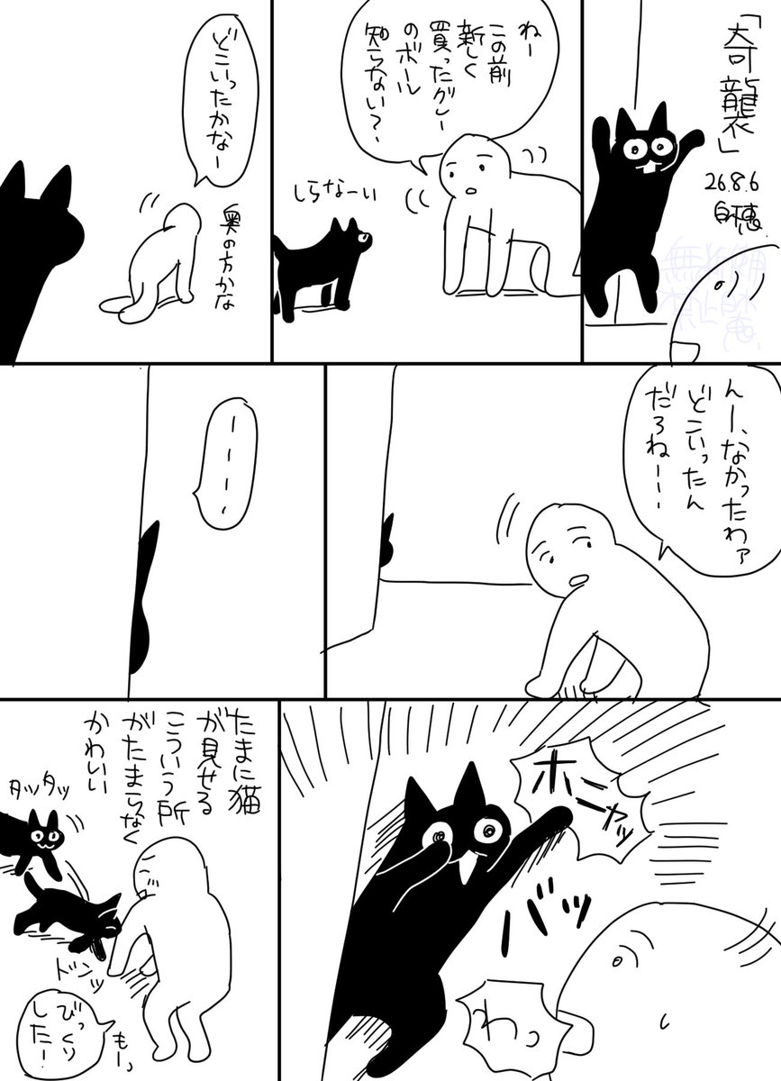 smilecat_uk's tweet photo. たまにびっくりさせてくる
#日記 https://t.co/HYwRG7sv1d