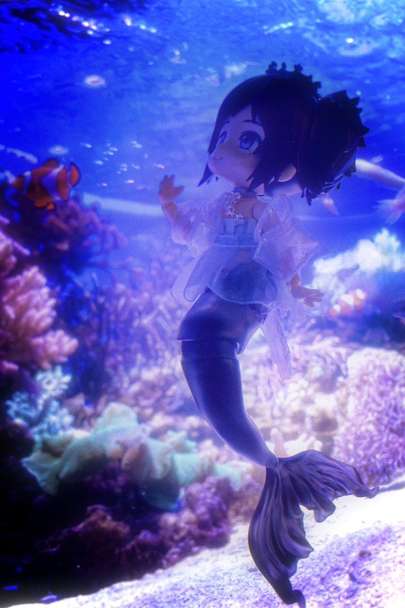 Hakka8L_t's tweet photo. 人魚の安定に本気で夢を見ておりまして https://t.co/x94ldQesUF