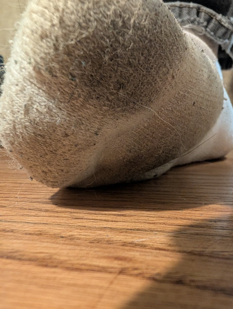 Massive_Monica's tweet photo. Socks :D https://t.co/ZtgZltdS0W