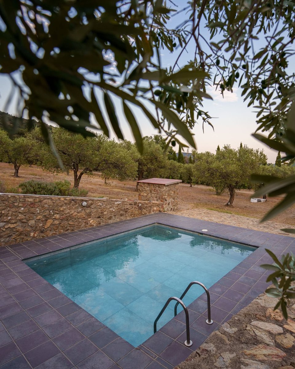 masiaserra's tweet photo. #masiaserra #picnic #picnicentrevinyes #enoturisme #emporda https://t.co/A9coM921j4