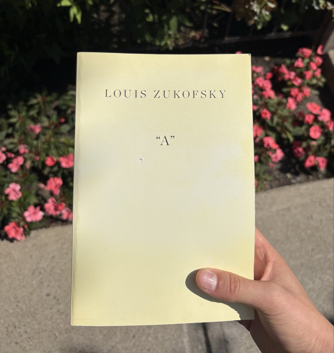 pharmakonned's tweet photo. Late summer find at the Word https://t.co/EyD5UjCcWJ