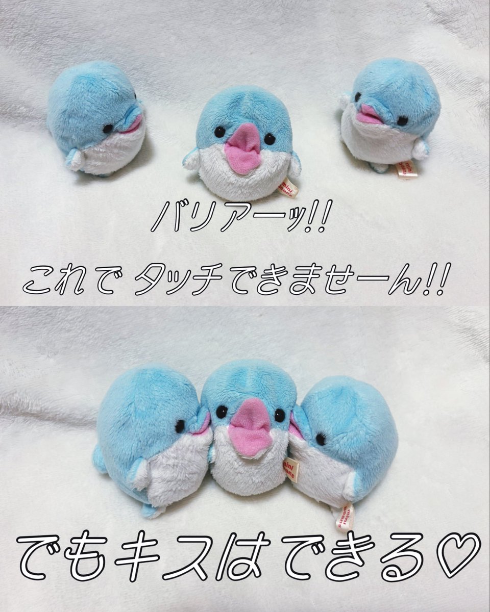 lady_chisaine's tweet photo. バリアーｯｯｯ‼︎ https://t.co/oOrWnPkJPk
