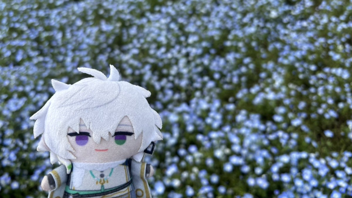 sqlxnya_'s tweet photo. お迎え用⸌̟͂̋⸍̑⸜̑⸝͂ ໋⸌̟͂̋⸍̑⸜̑⸝͂ ໋ https://t.co/FrTPI261j9