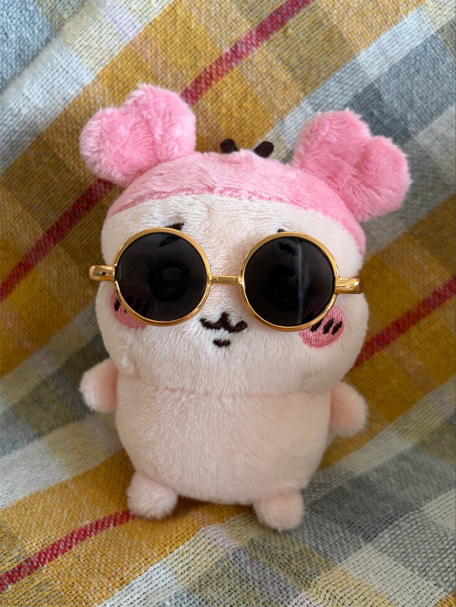 p_tan_sk's tweet photo. スチャッ🕶️ https://t.co/Q7aiPQFWKT