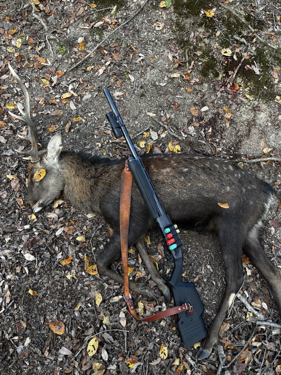 araithehunter tweet picture