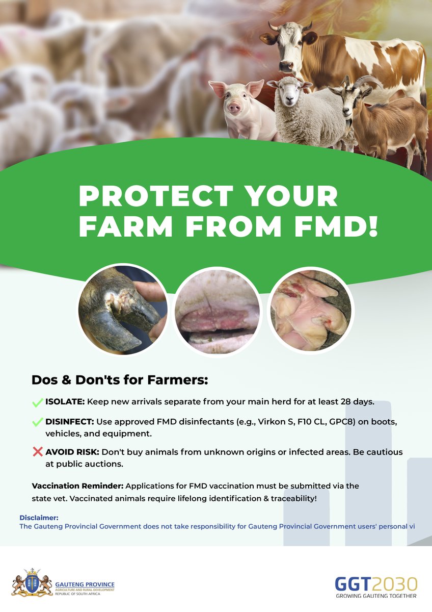 OfficialGDARD's tweet photo. Keep FMD off your farm! Isolate new arrivals, disinfect vehicles and equipment, and avoid high-risk animal purchases. Check out the guidelines and protect your livestock today! #GDARD #FMD #FarmSecurity #Gauteng https://t.co/POHFD4s8iH