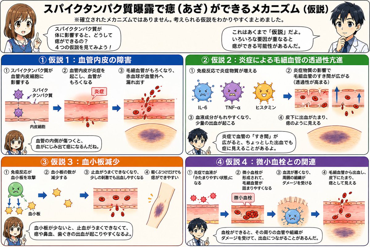 izumoji_english's tweet photo. シェディングで痣（皮下出血）が生じる仕組み https://t.co/kUYDiqm6KH