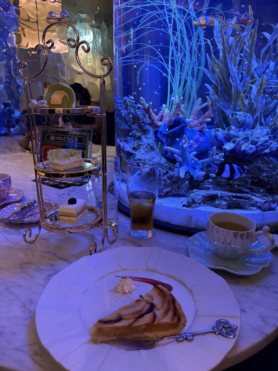taso1713's tweet photo. 格付けチェックのコースが体験できるレストランにあんずちゃんと行ってきました☺️🍽
私7問中4問、、🥹
あんずちゃん5問正解でデザートにアフタヌーンティー出してもらってました😳👏🏻すごい！
本当に美味しくて黒毛和牛とカンガルーも間違えました、、通ってるごはん屋さん、、バカ舌ですみません🥹🥹🥹 https://t.co/aotWsI321i